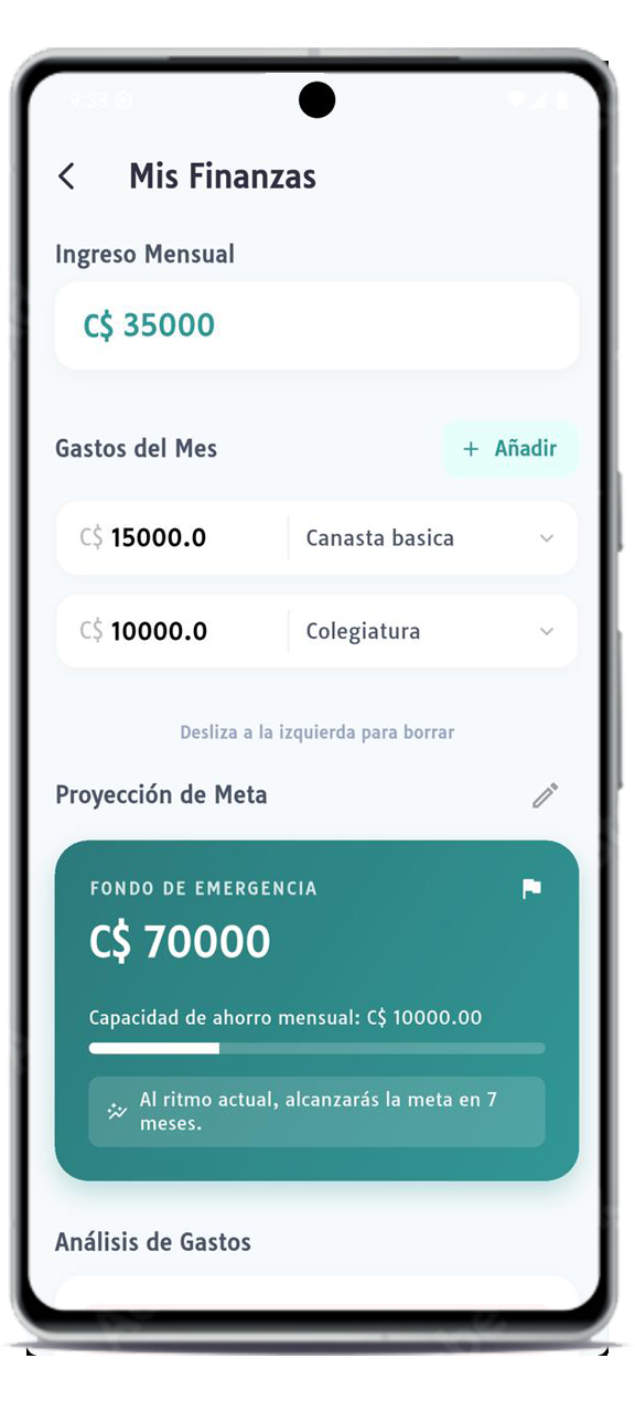 Control de Gastos e Ingresos